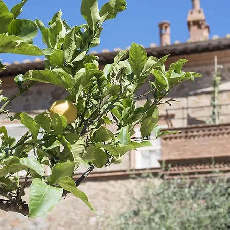 Bed & Breakfast Fattoria Pian Di Rocca Castiglione della Pescaia