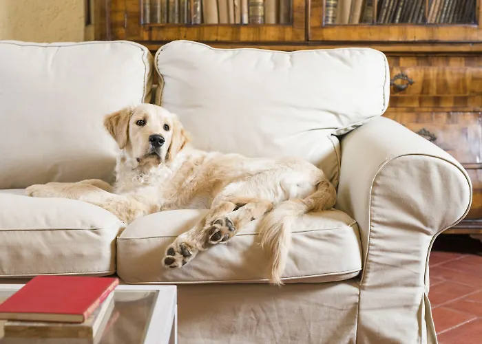 ベッド・アンド・ブレックファスト Fattoria Pian Di Rocca カスティリオーネ・デッラ・ペスカーイア