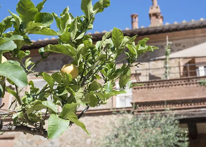 ベッド・アンド・ブレックファスト Fattoria Pian Di Rocca カスティリオーネ・デッラ・ペスカーイア