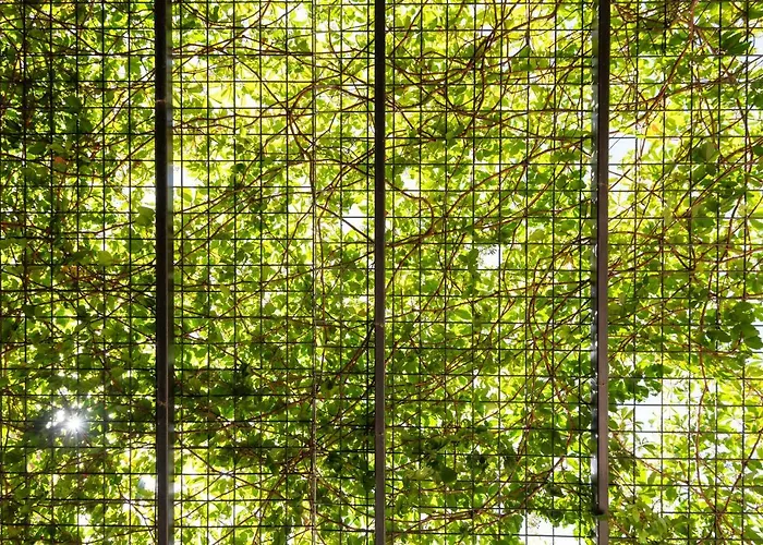 ベッド・アンド・ブレックファスト Fattoria Pian Di Rocca 4*